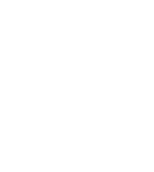 AEI Logo