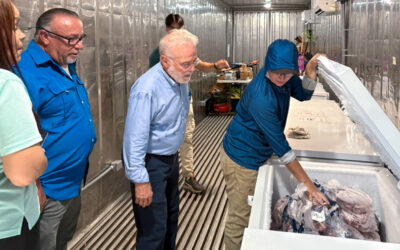 On storm-ravaged Vieques, a microgrid builds resilience